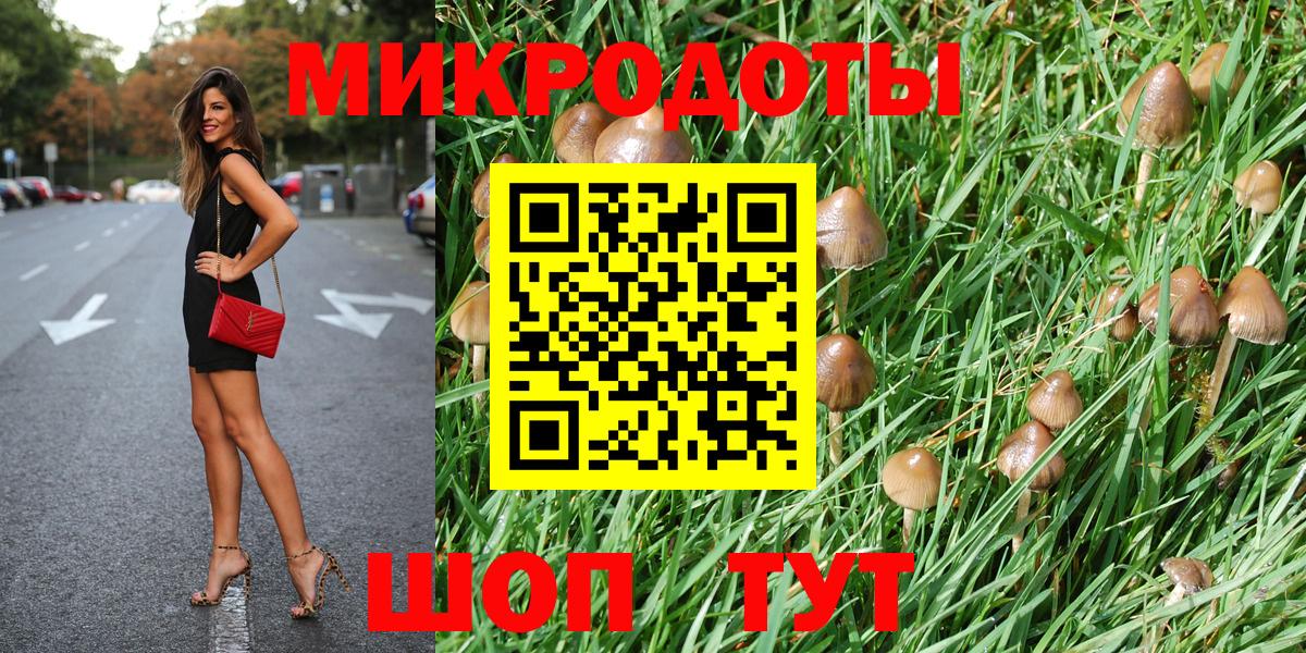 Псилоцибиновые грибы Magic Shrooms Псков