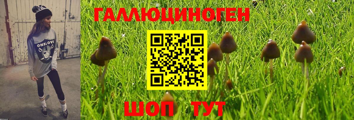 ГАШИШ  Метадон  МАРИХУАНА  Меф МЯУ МЯУ   Псков  Вход с VPN 