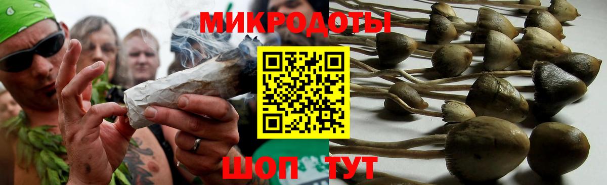 Галлюциногенные грибы мухоморы  Псилоцибиновые грибы мухоморы  Вход с VPN  закладка  Псков 